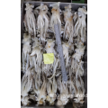 Squid congelado sobras de tentáculos Nototodarus Sloanii 180-200G